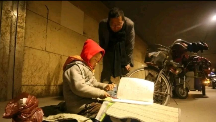 新疆游客拍到公路上狼群逐鹿,澳门精选免费的资料大全,典故解疑_粉丝版V5.19