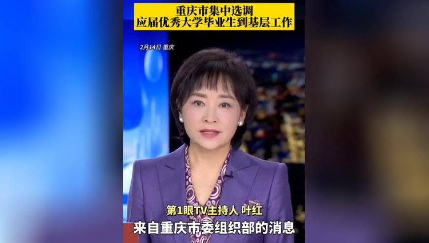 京东外卖上“编制”引发雪球效应,澳门天天好彩图文咨询,准确资料解释落实_HarmonyOSV2.84