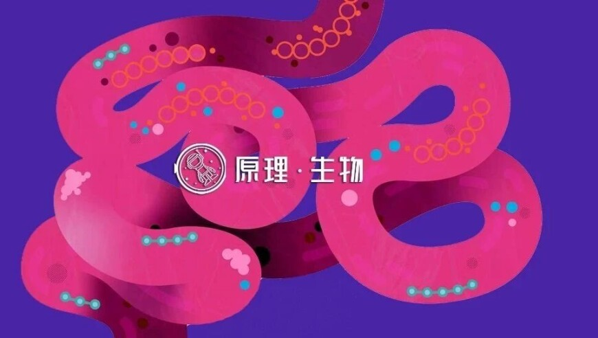 古庙回应禁止来例假女性入殿参拜,246天天天彩天好彩最新活动,经典解释落实_网红版V9.90